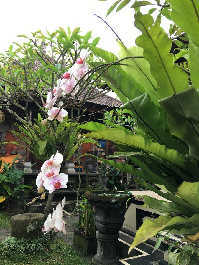 מלון Payangan Local Family House מראה חיצוני תמונה